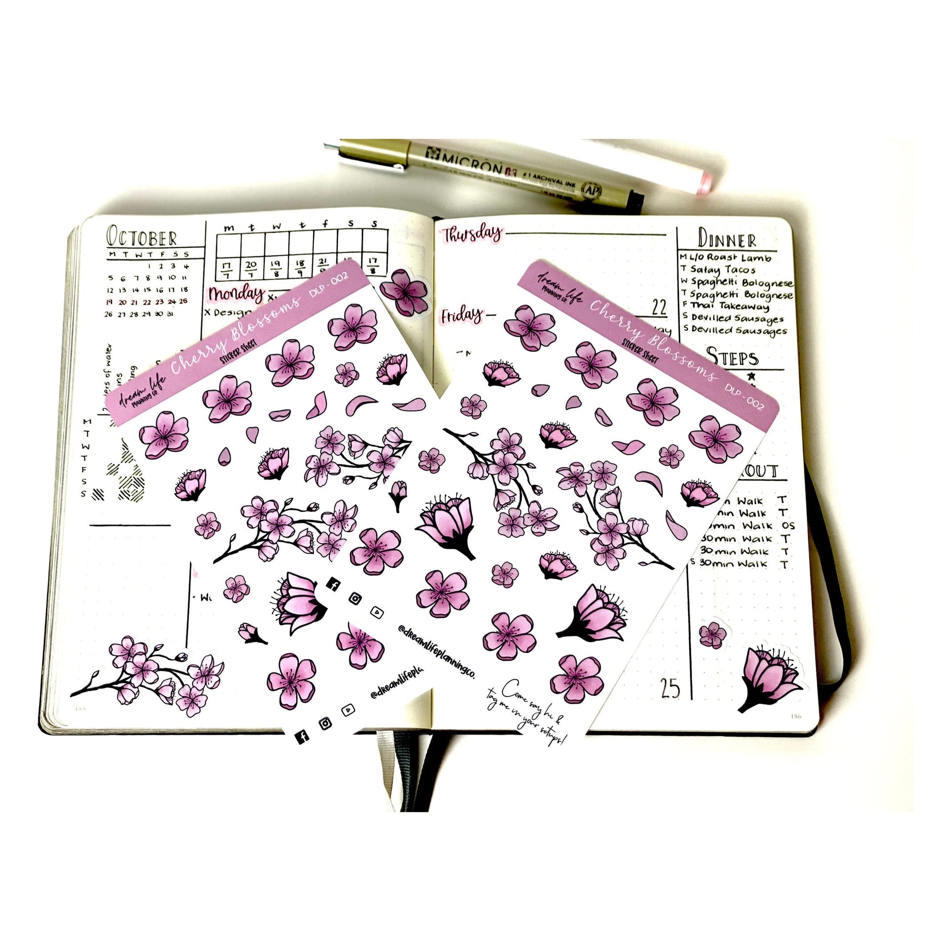 Cherry Blossom Stickers | Cherry Blossoms | Bullet Journal | Planner Stickers | Cute Planner Sticker Sheet | Sticker Sheet | BUJO | DLP 002