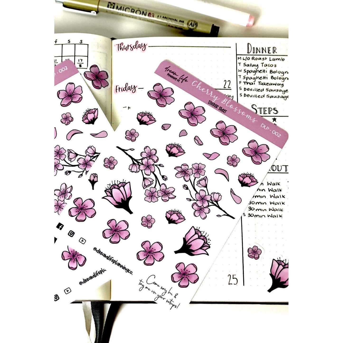 Cherry Blossom Stickers | Cherry Blossoms | Bullet Journal | Planner Stickers | Cute Planner Sticker Sheet | Sticker Sheet | BUJO | DLP 002