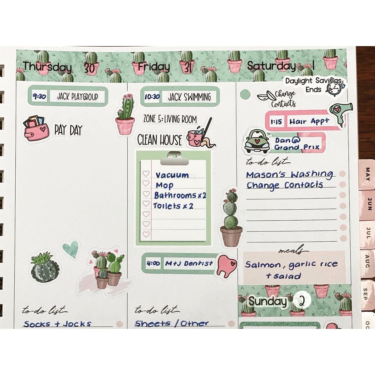 Deco Planner Stickers Cactus Decorative Planner Stickers for Bullet Journal Stickers Cute Planner Sticker Sheets Erin Condren Stickers